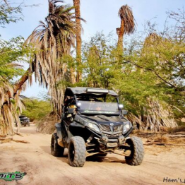 things-to-do-cape-verde-sal-santa-maria-buggies-groups-discounts-tui-thomson-book-excursion-activities-online (preview)